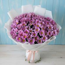 Букет цветов из:  Хризантемы в Суксун