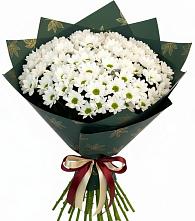 Букет цветов из:  Хризантемы #REPLACE_PRED# Суксун