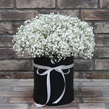 Цветочная композиция из Гипсофила в шляпной коробке в Суксун