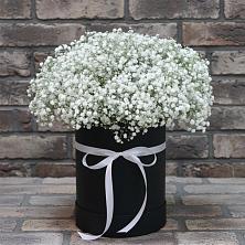 Цветочная композиция из Гипсофила в шляпной коробке в Суксун